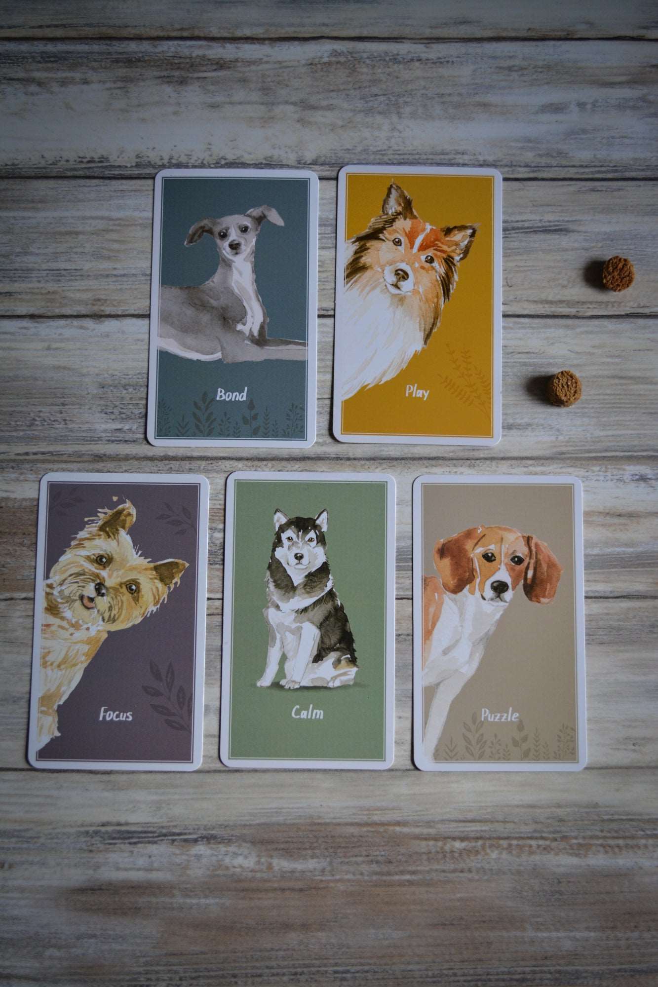 Calm Dog Games 52 game-card deck