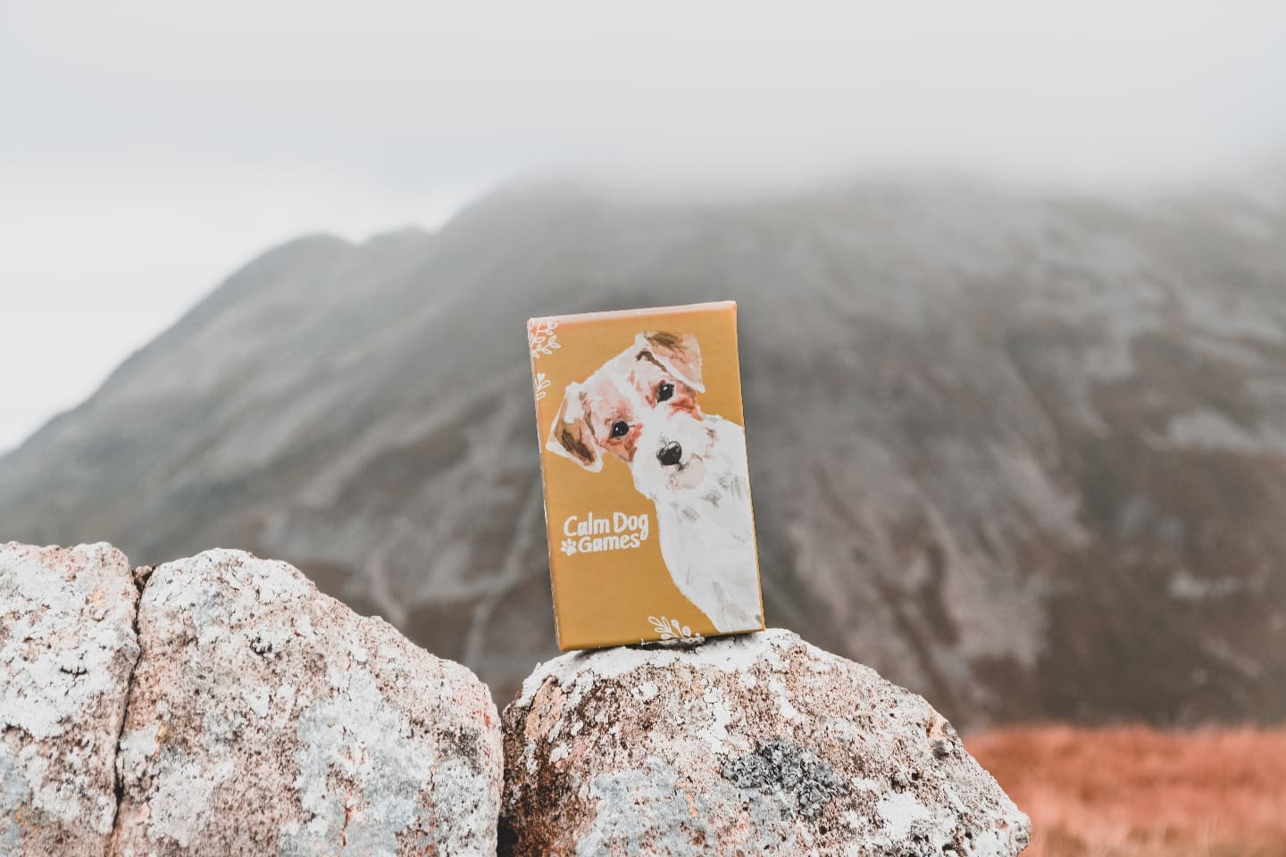 Calm Dog Games 52 game-card deck