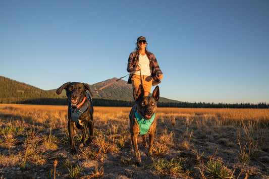 The Ruffwear Dog Harness: The Perfect Fit.