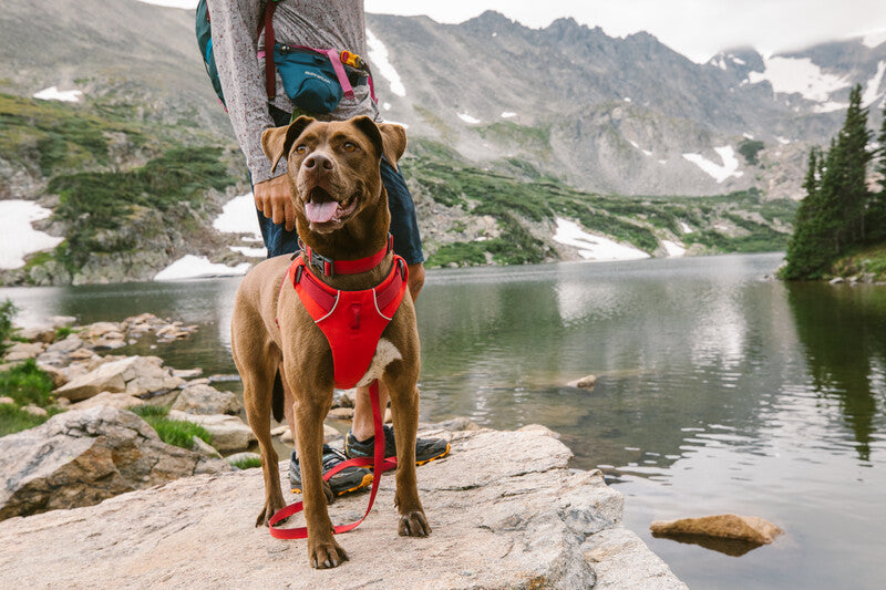 Ruffwear Front Range 10% off collection.
