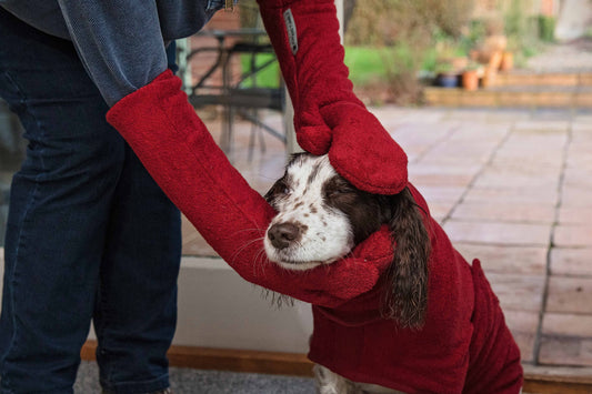 Ruff and Tumble Luxury Dog Drying Mitts