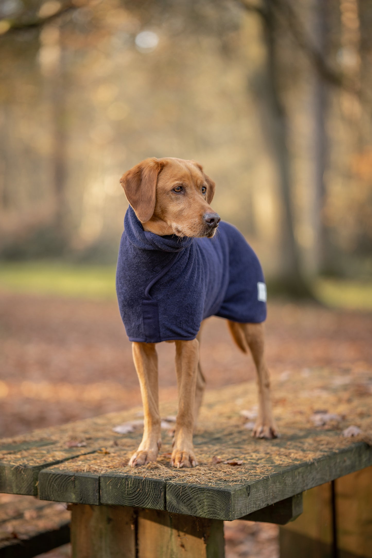 Ruff and Tumble Drying Coats Classic