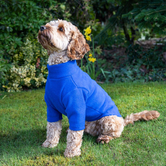 Pawsome suits 2 legged water resistant fleece in Blue
