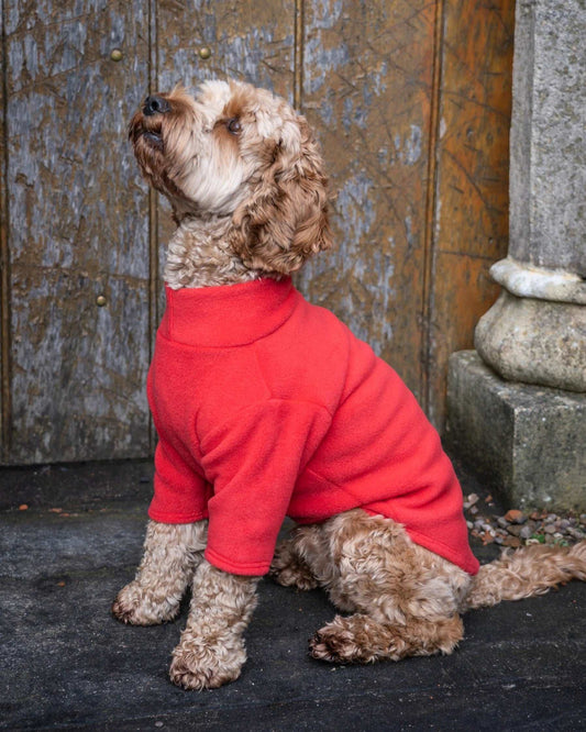 Pawsome suits 2 legged water resistant fleece in Red