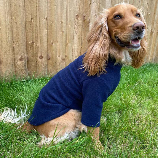 Pawsome suits 2 legged water resistant fleece in Navy