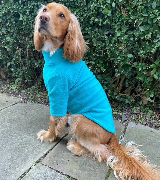 Pawsome suits 2 legged water resistant fleece in Jade
