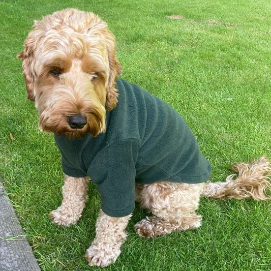 Pawsome suits 2 legged water resistant fleece in Green