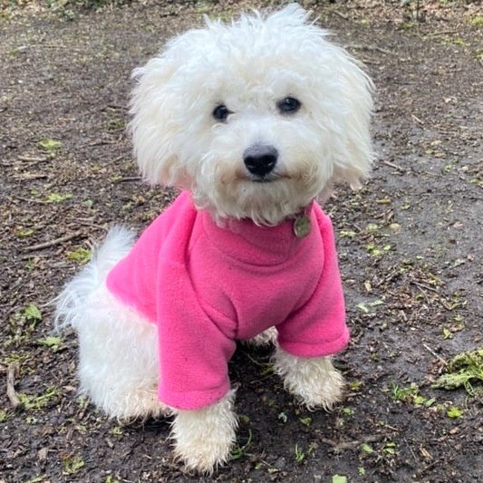 Pawsome suits 2 legged water resistant fleece in Pink